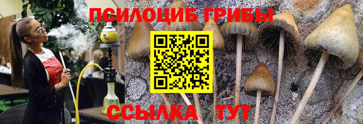 Псилоцибиновые грибы ЛСД Кизилюрт