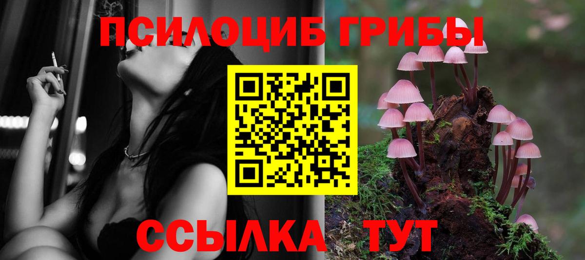 Галлюциногенные грибы MAGIC MUSHROOMS  купить закладку  Вход с VPN  Кизилюрт  Псилоцибиновые грибы MAGIC MUSHROOMS 